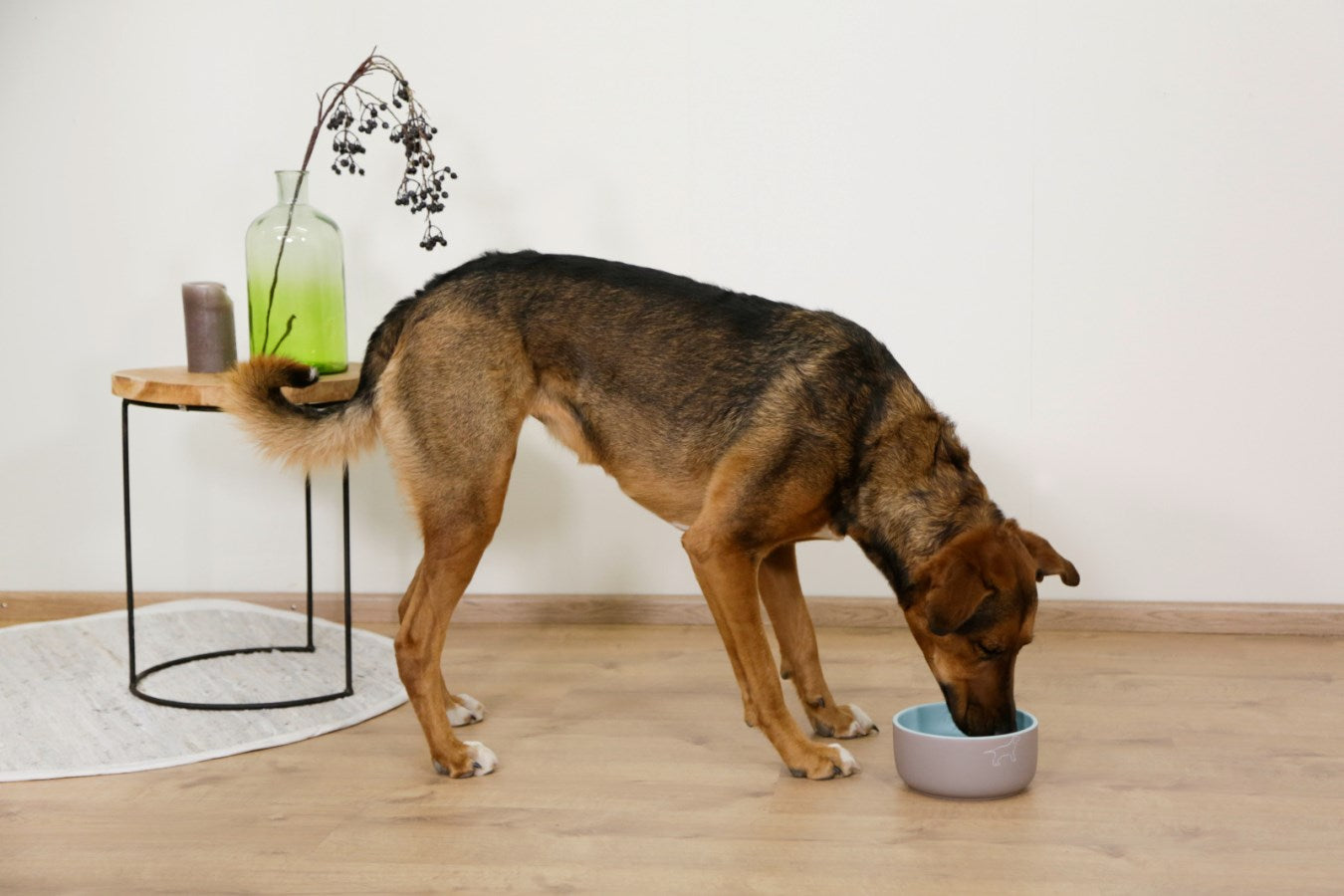 Kerbl Keramiknapf "Spirit" | 500ml