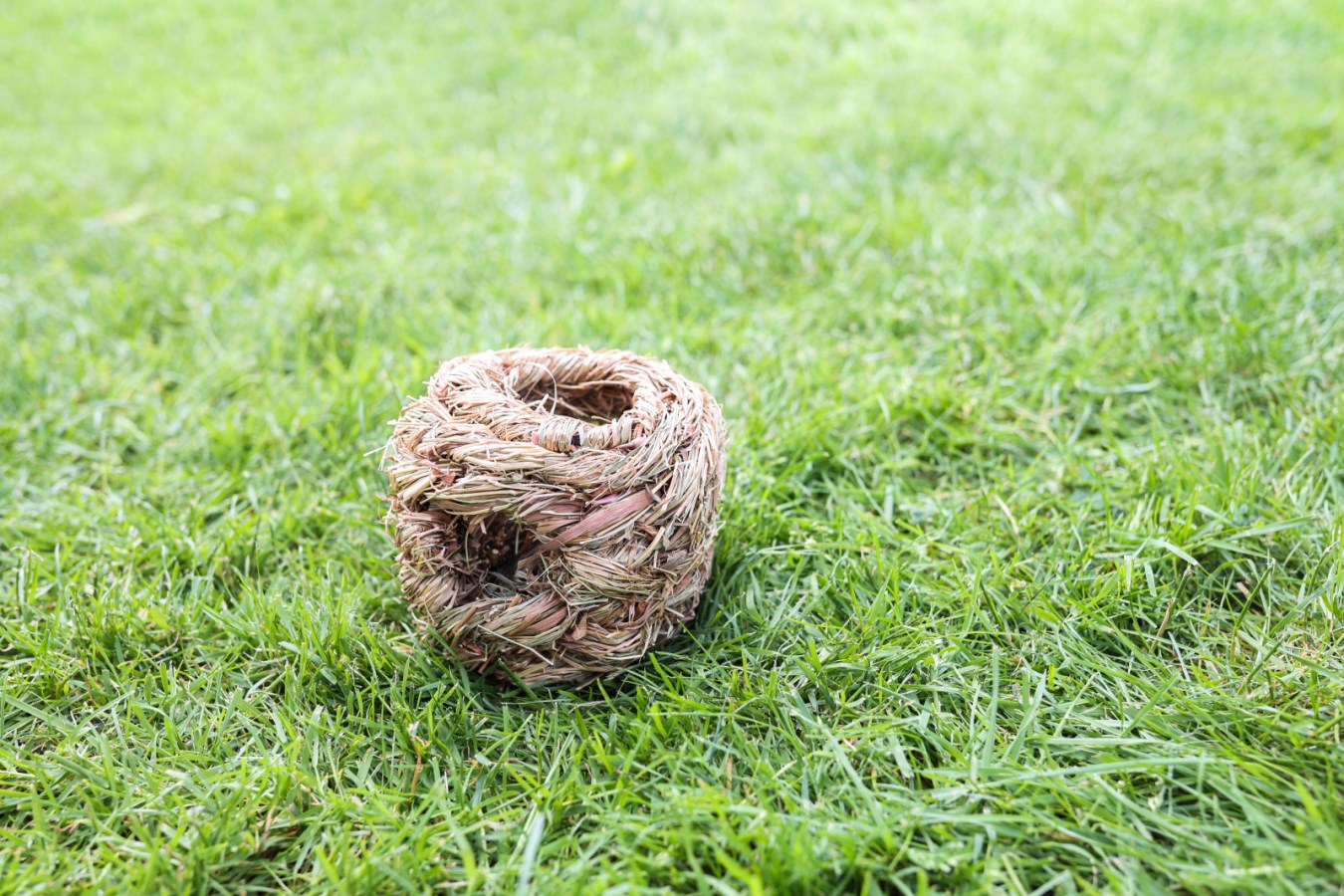Kerbl Grasball | ø 13 cm
