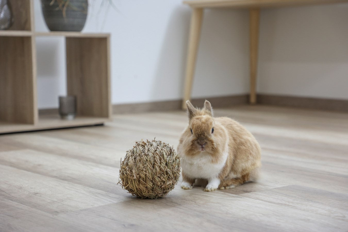 Kerbl Grasball | ø 13 cm