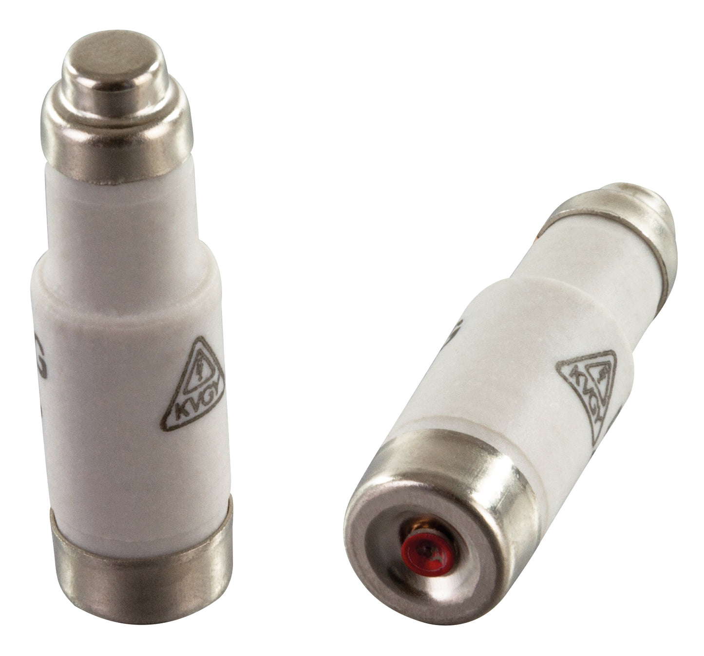 Sicherungseinsatz Neozed | D01 | E14 | 10A | 10 Stück