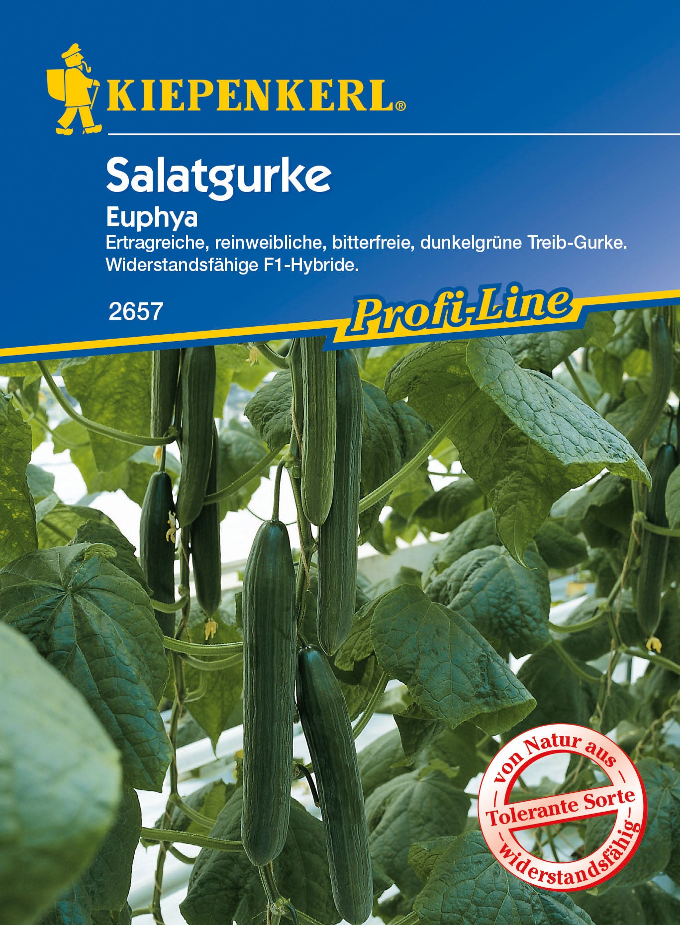 Salatgurke Euphya