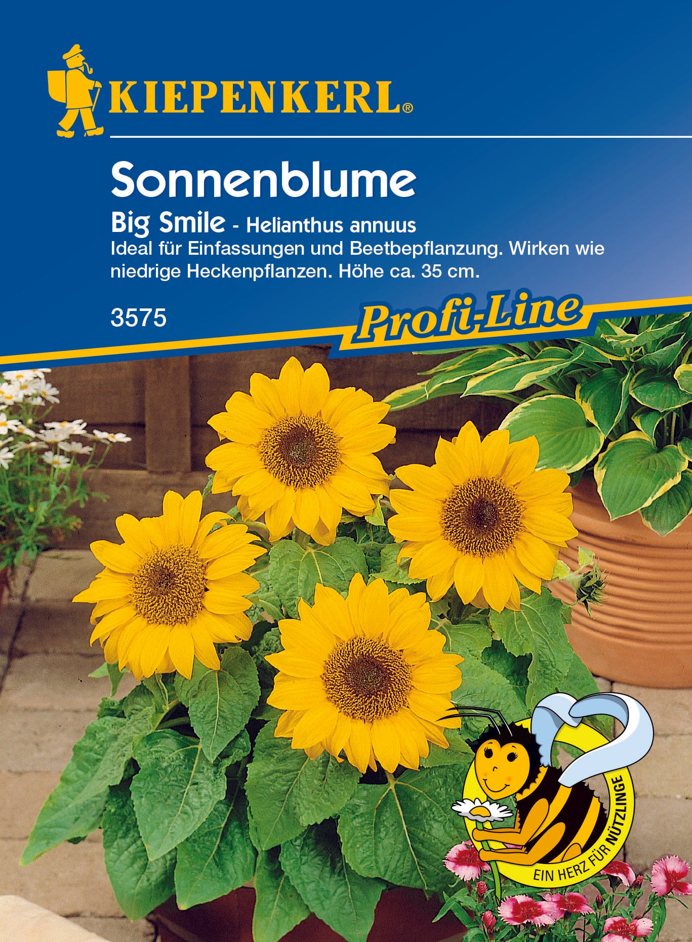 Sonnenblume Big