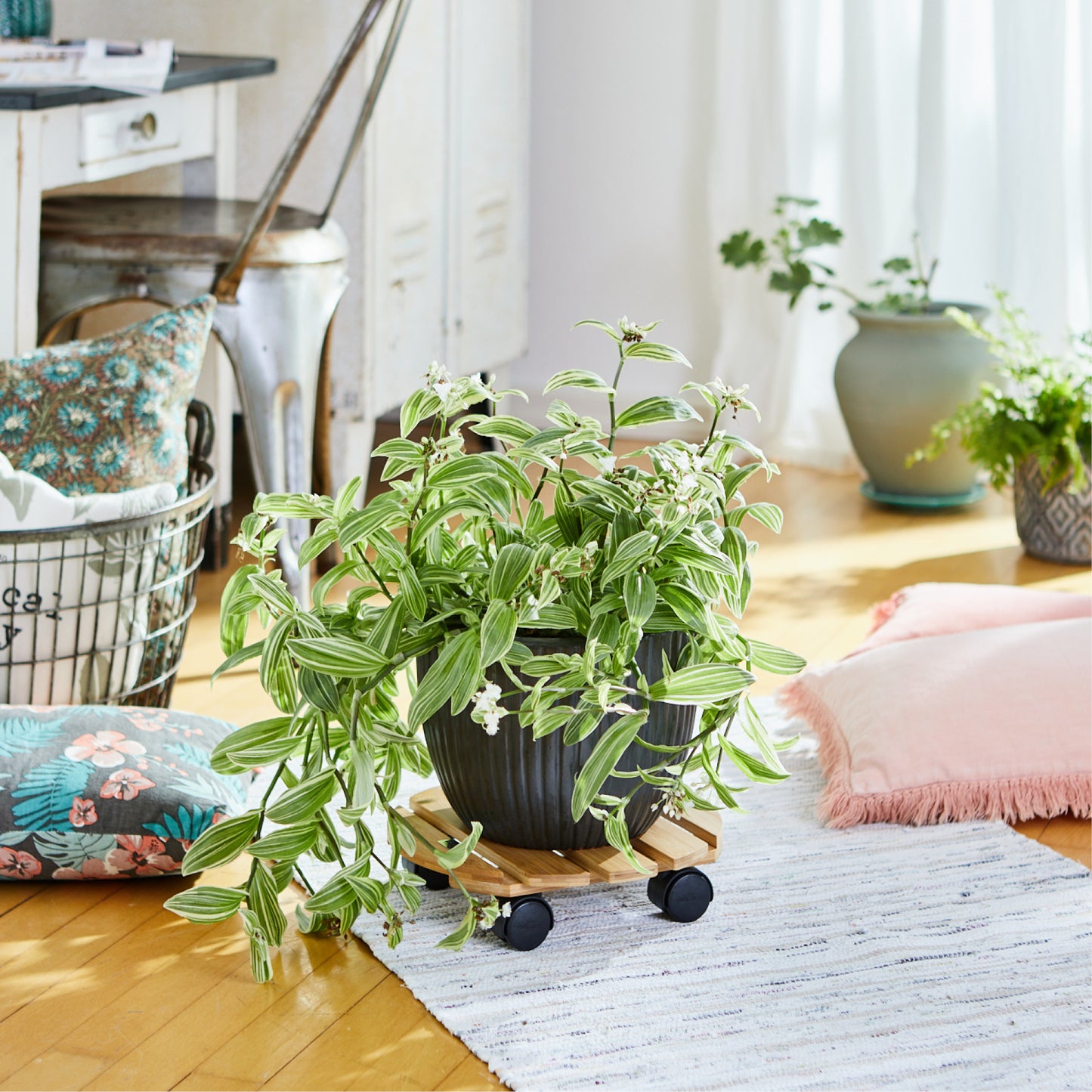 MULTI ROLLER BAMBOO
