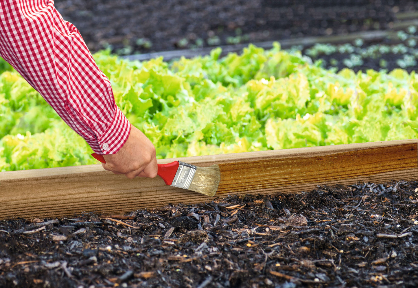 ökologischer Schutzanstrich gegen Schnecken
