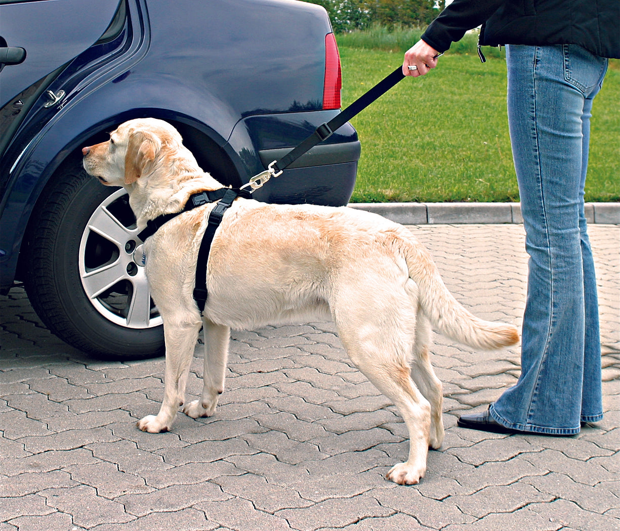 Trixie Auto-Geschirr M (50-70cm) | schwarz