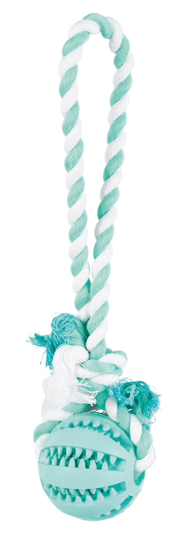 Denta Fun Ball am Tau, Minzgeschmack, Naturgummi, ø 7/24 cm