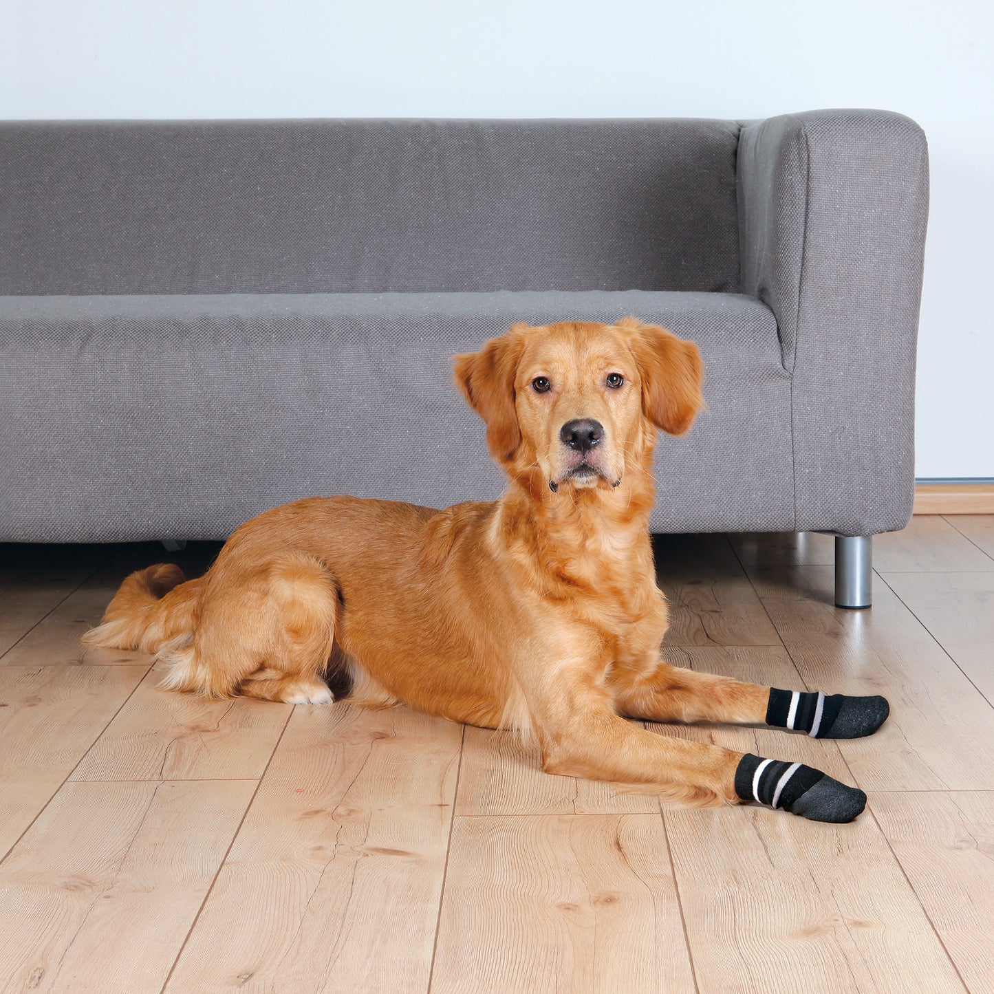 Trixie Hundesocken, Anti-Rutsch (Gr. XL) | 2 Stück