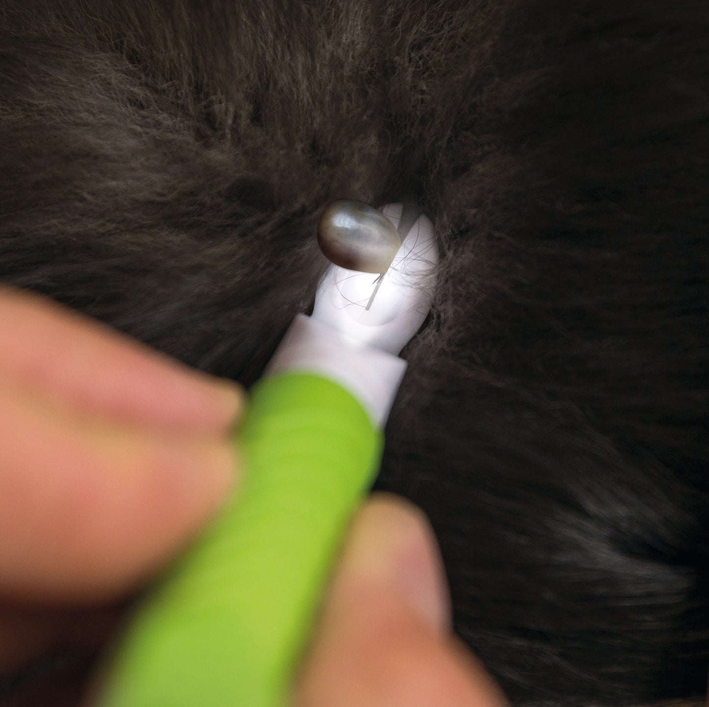 Tick Boy® VET Zeckenstift mit LED~Licht, 14 cm