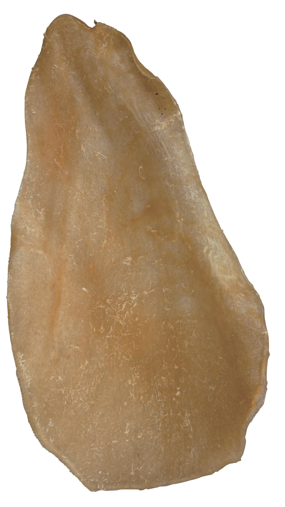 Rinderohr, getrocknet