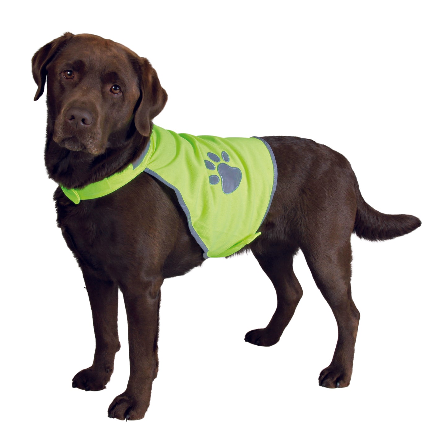 Trixie Sicherheitsweste für Hunde Gr. XS