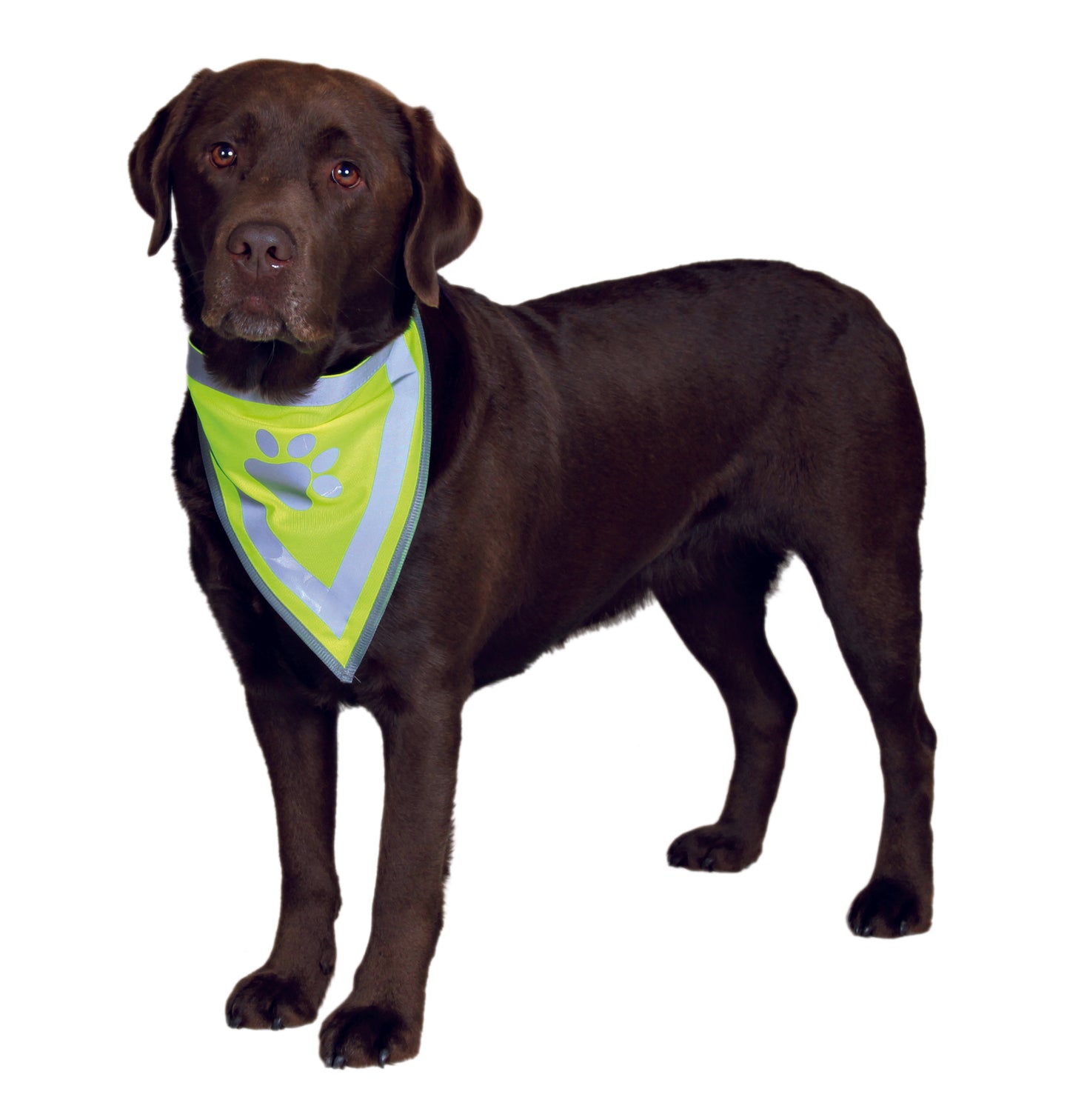 Trixie Sicherheits-Halstuch Gr. M-L