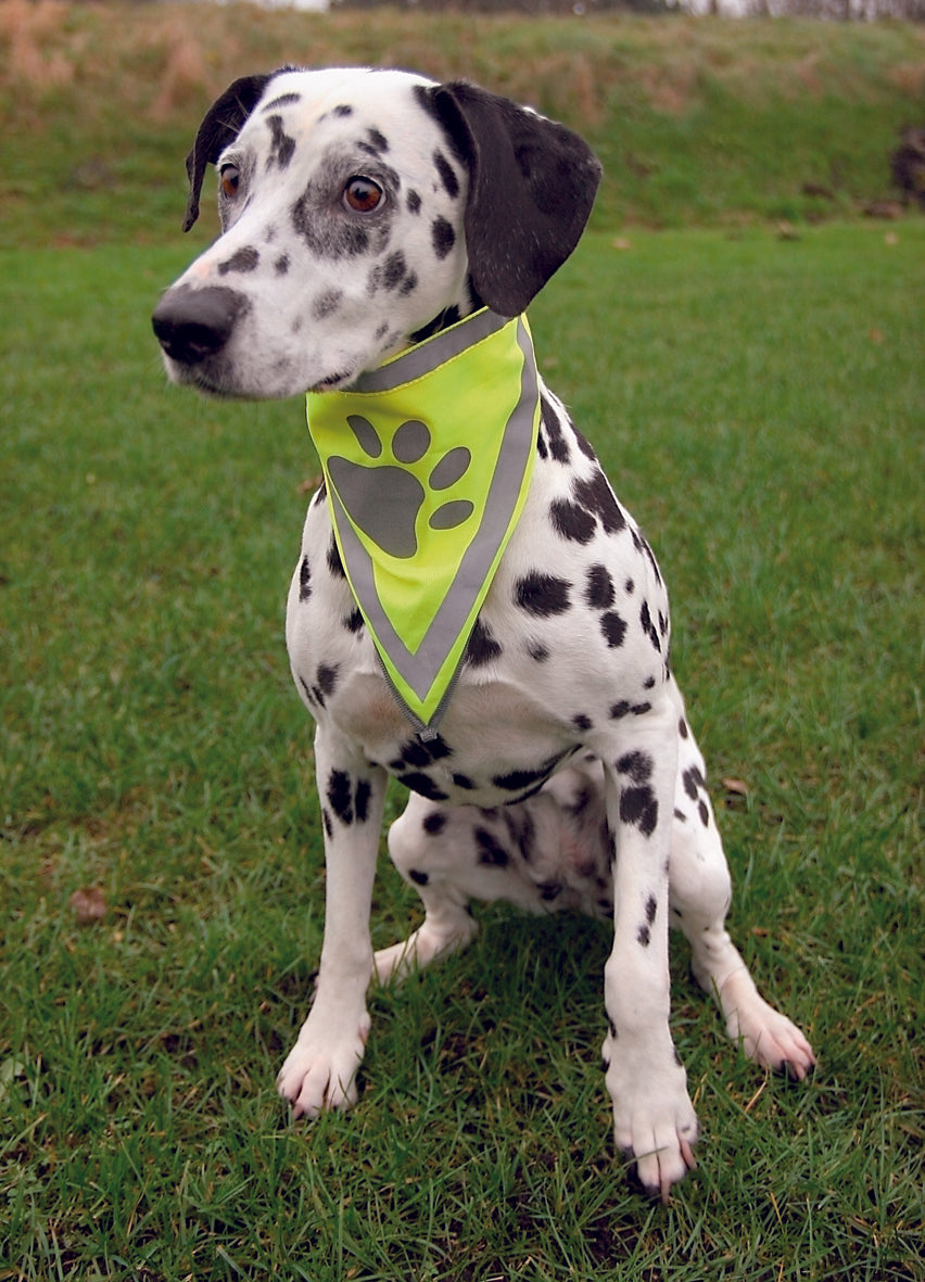Trixie Sicherheitshalstuch L-XL (43-60cm)