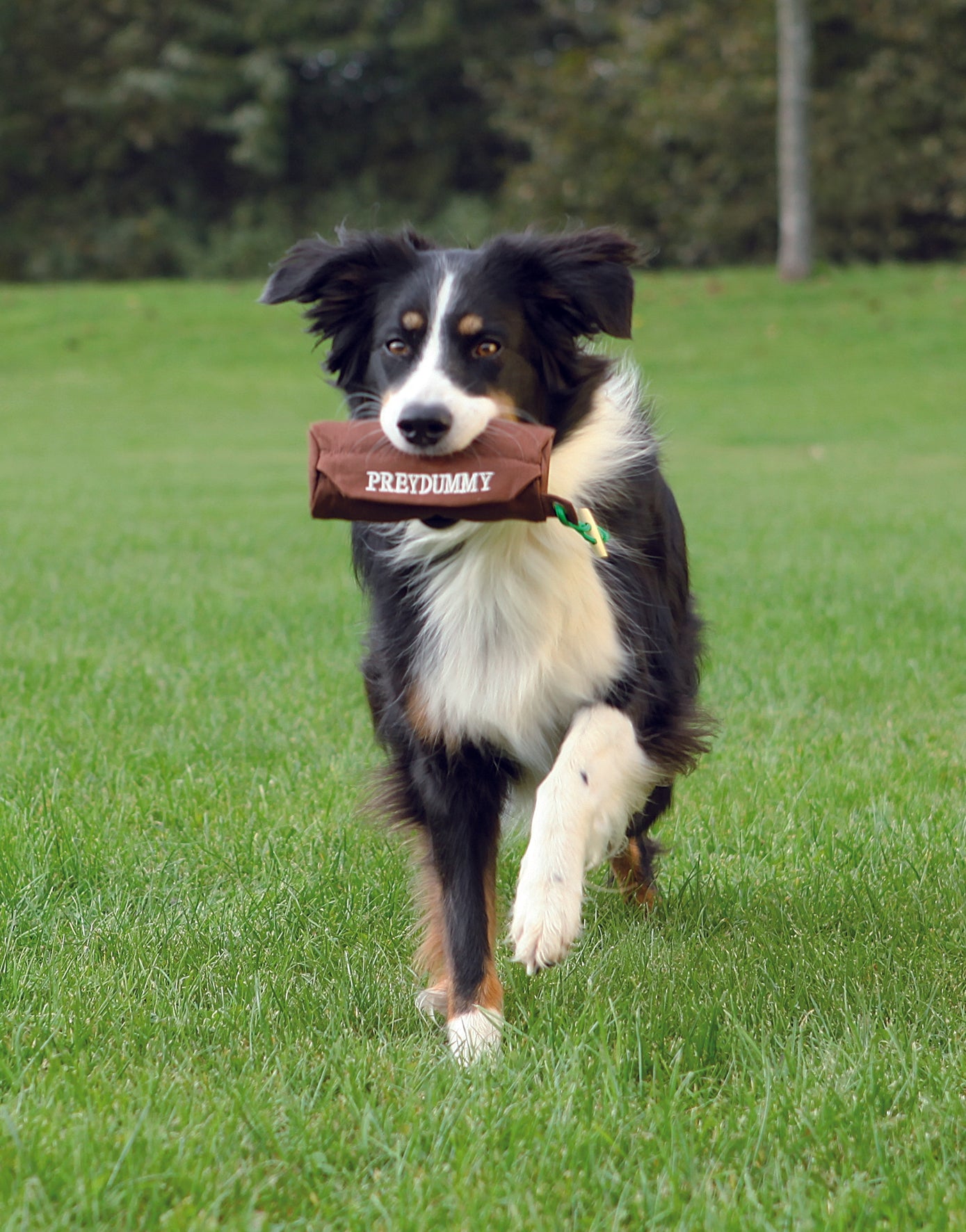 Trixie Preydummy "Canvas" ø 6 × 14 cm | braun