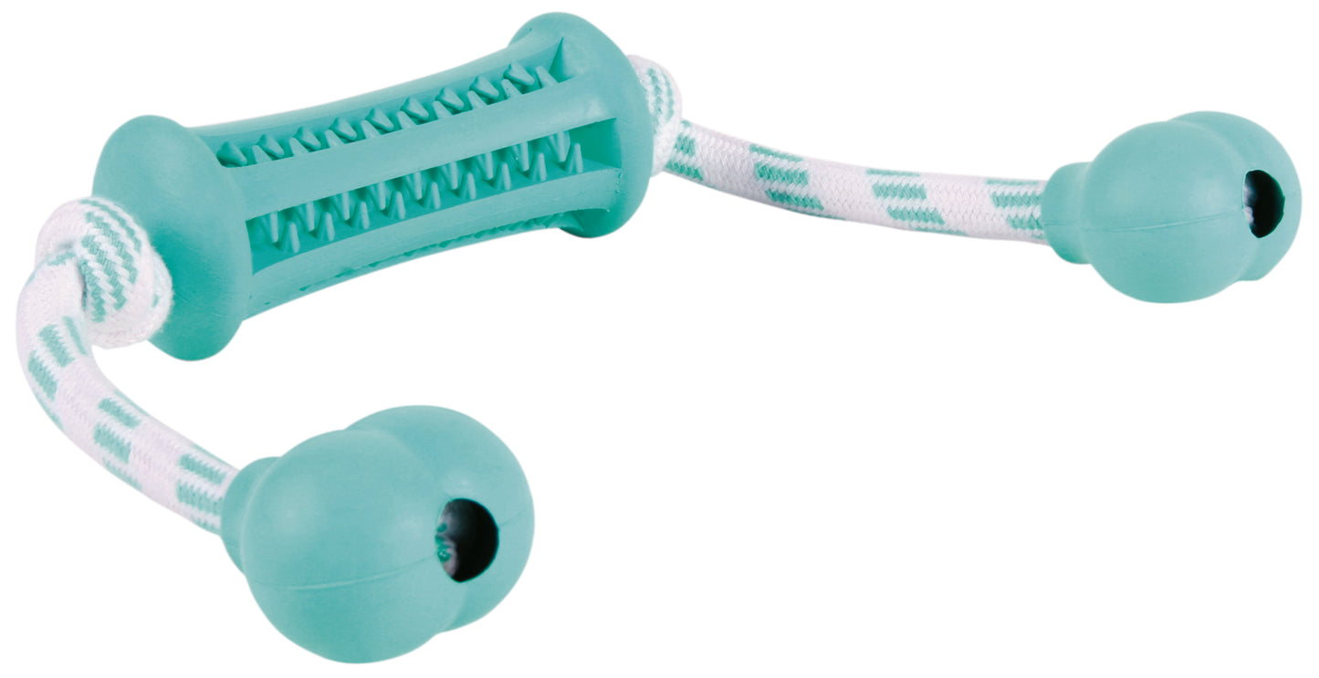 Denta Fun Stick mit Seil, Minzgeschm., Naturgummi, 9 cm/37 cm