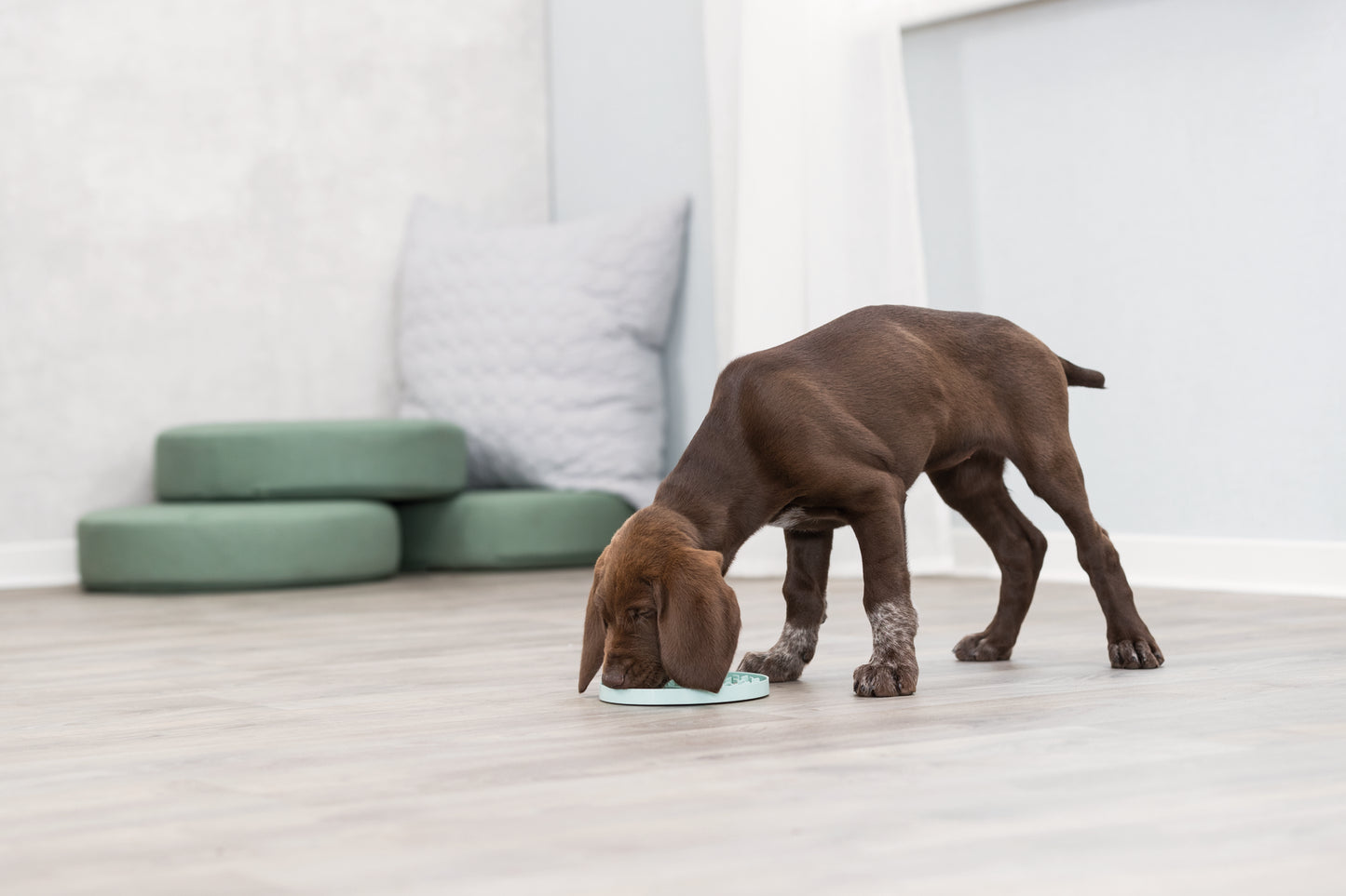 Trixie Junior Schleckplatte | ⌀ 15 cm