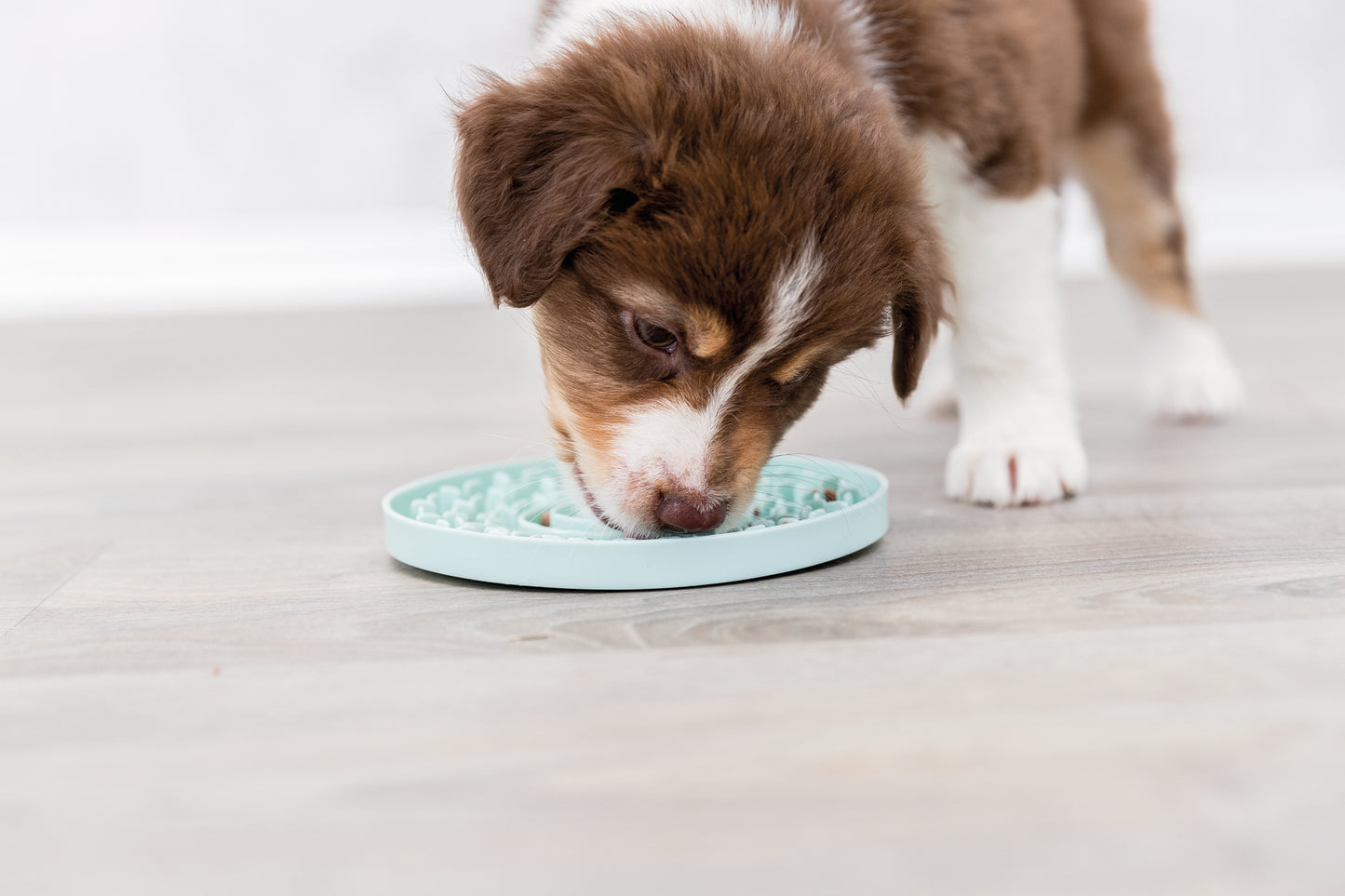 Trixie Junior Schleckplatte | ⌀ 15 cm