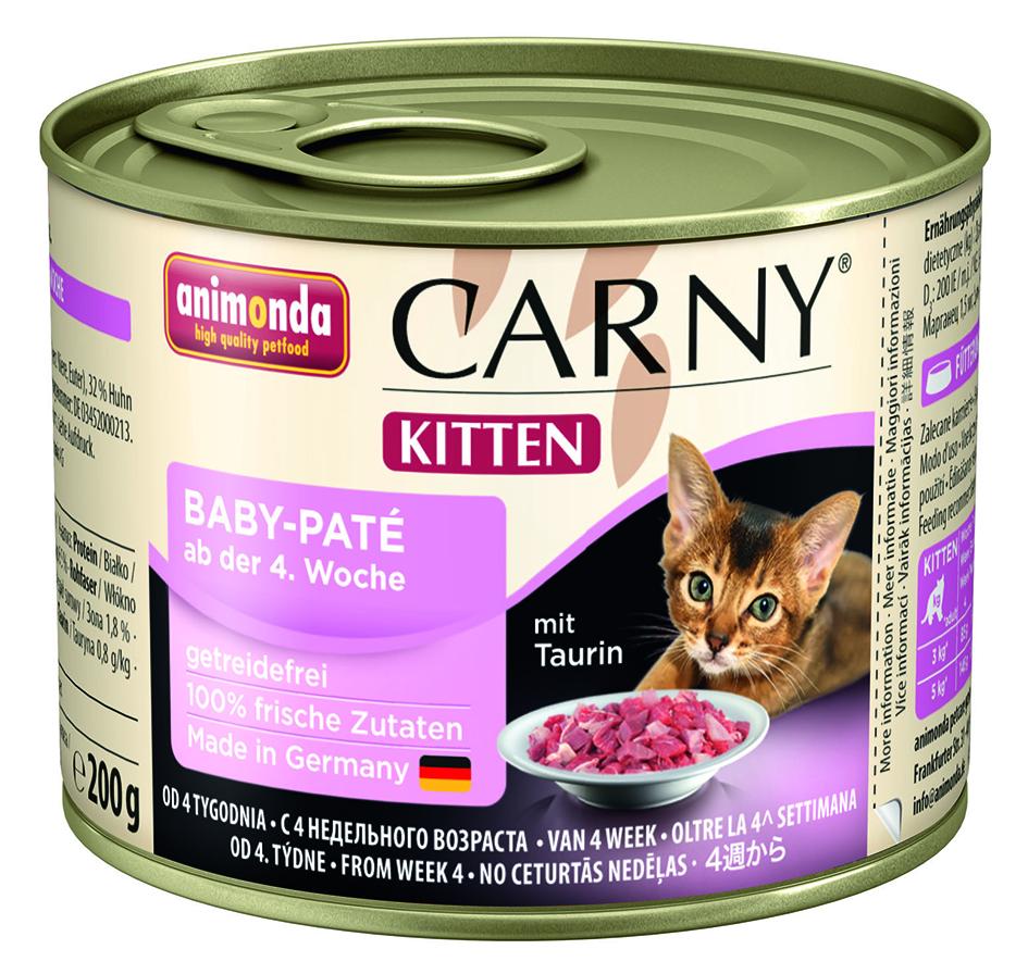 Carny Kitten Baby