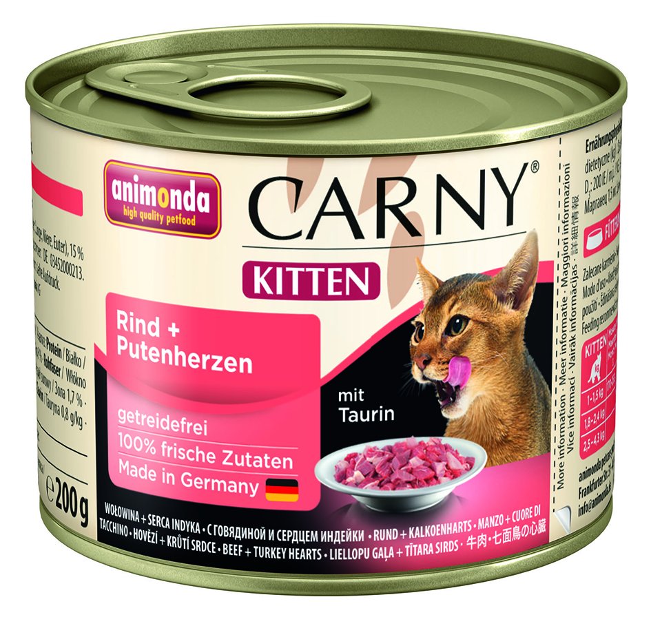 Carny Kitten