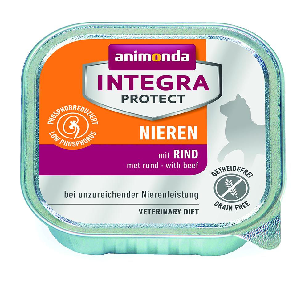 Protect Niere
