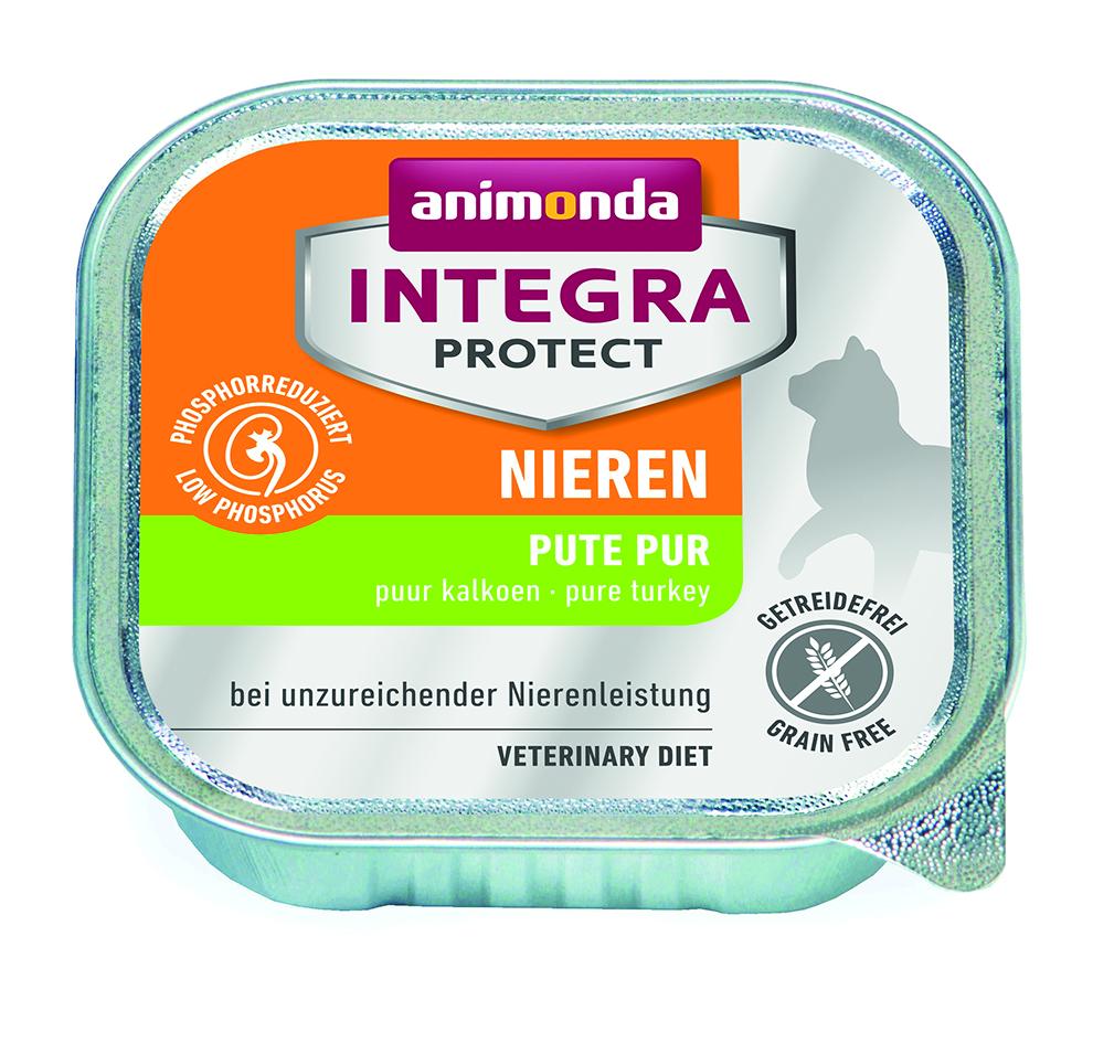 Protect Niere