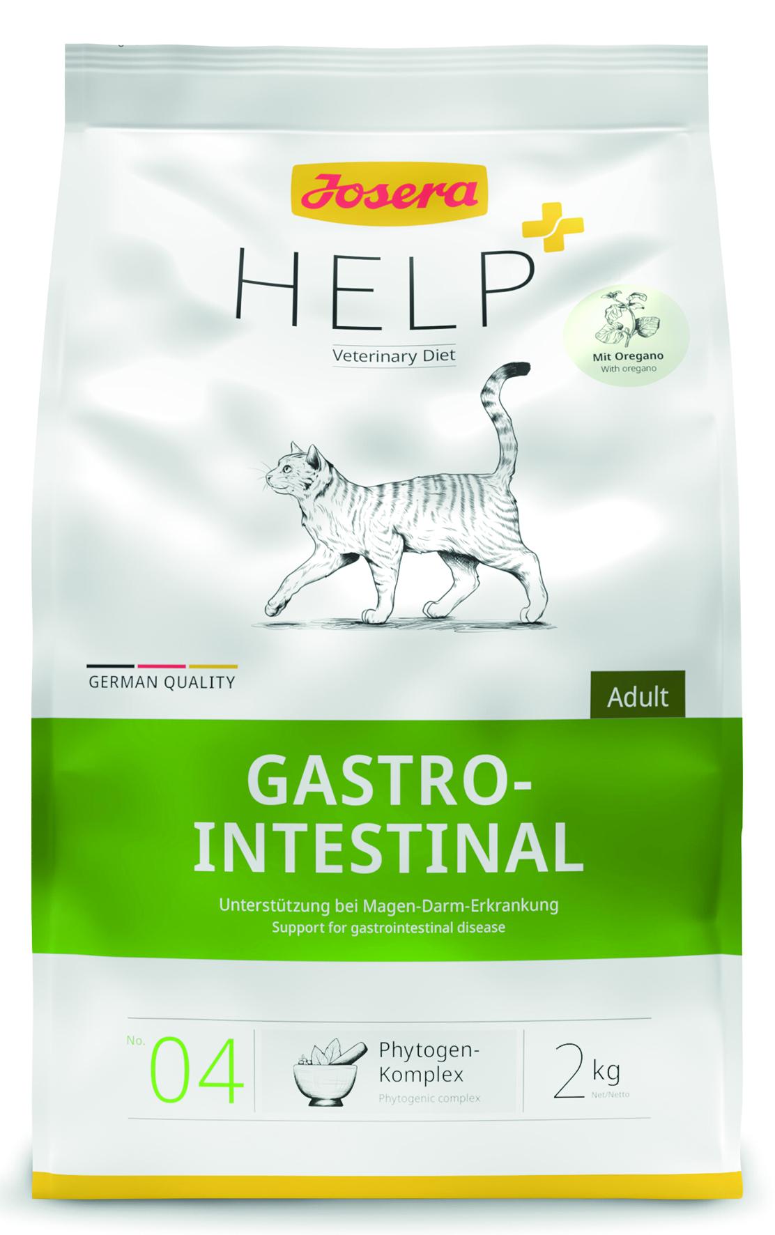 Intestinal Cat