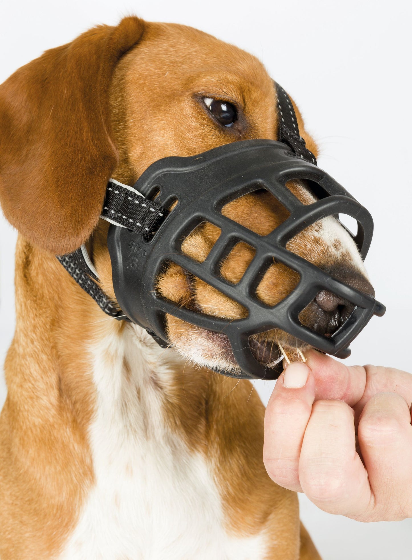 Trixie "Muzzle Flex" Maulkorb Gr. M-L | schwarz