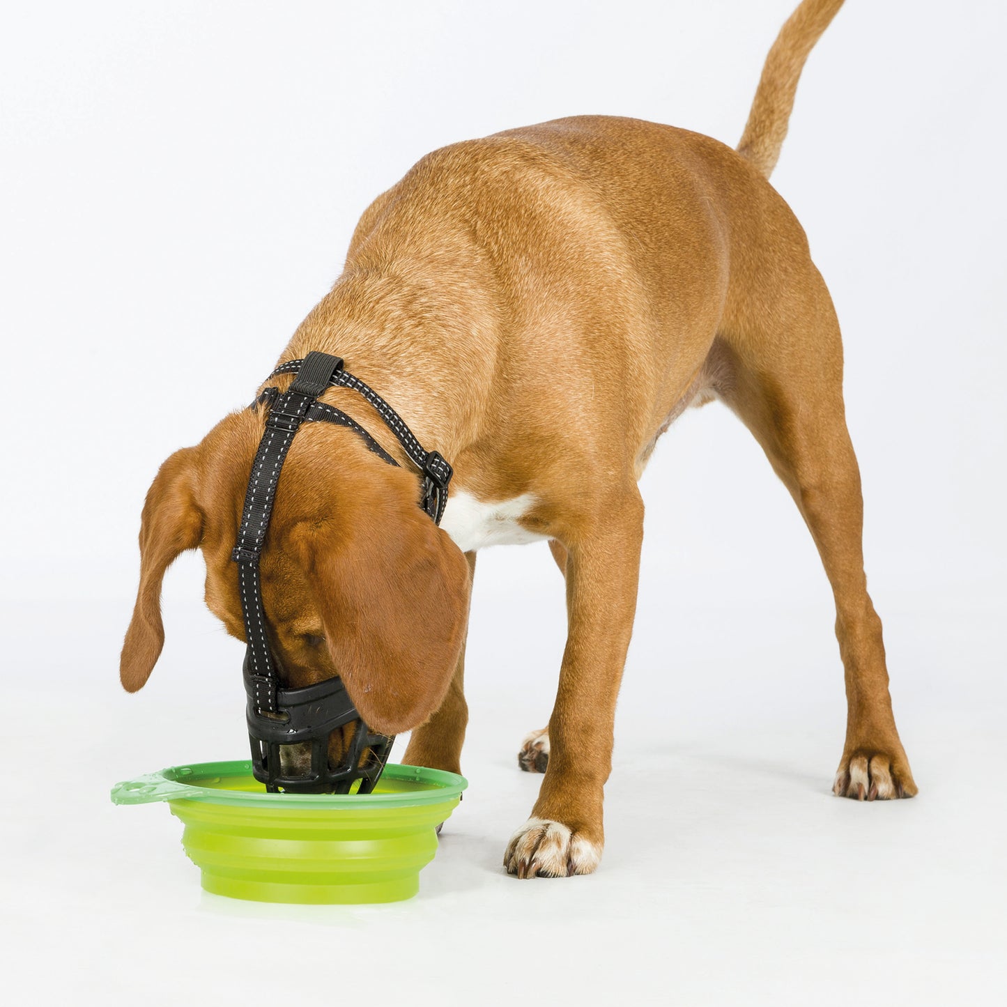 Trixie "Muzzle Flex" Maulkorb Gr. M-L | schwarz