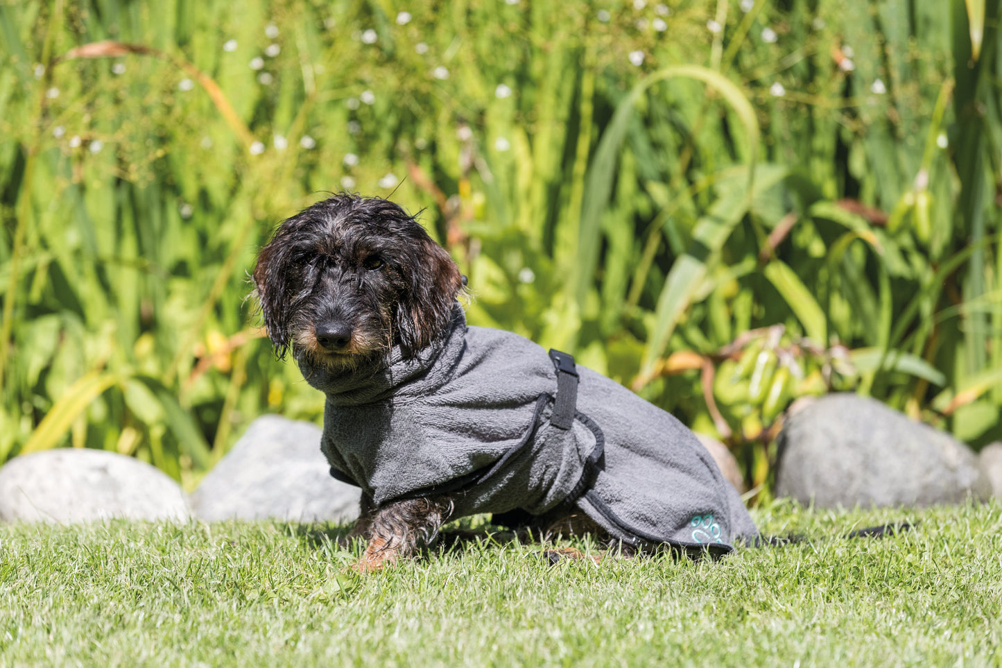 Trixie Bademantel für Hunde, Baumwolle (XS 30cm) | grau