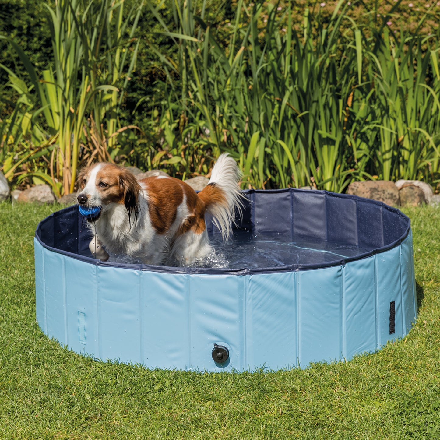 Trixie Hundepool ø120 × 30 cm hellblau/blau