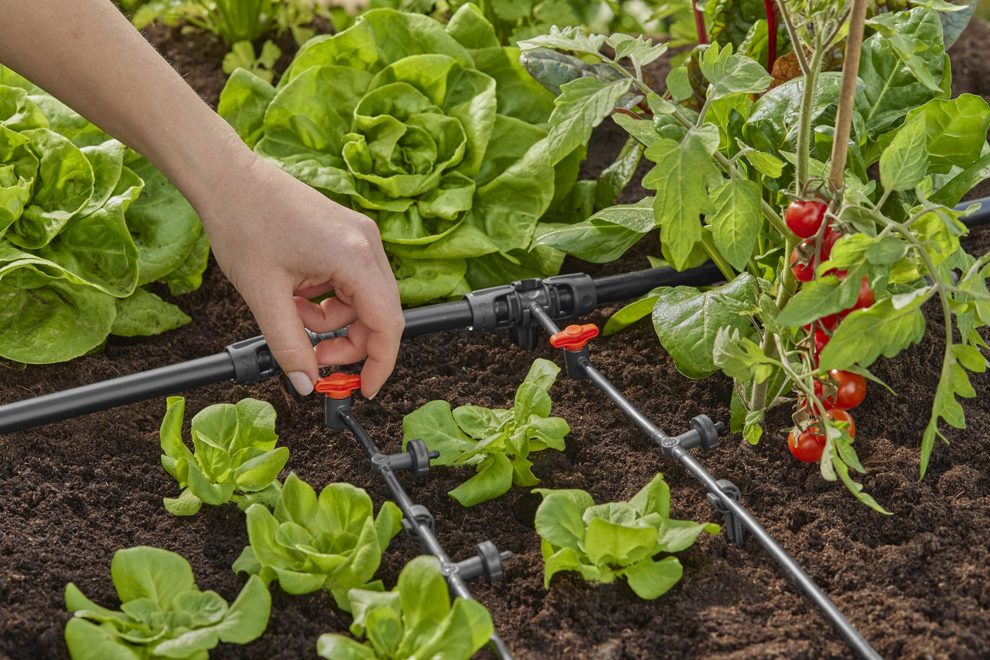 Micro-Drip-System Reduzier-T- Stück