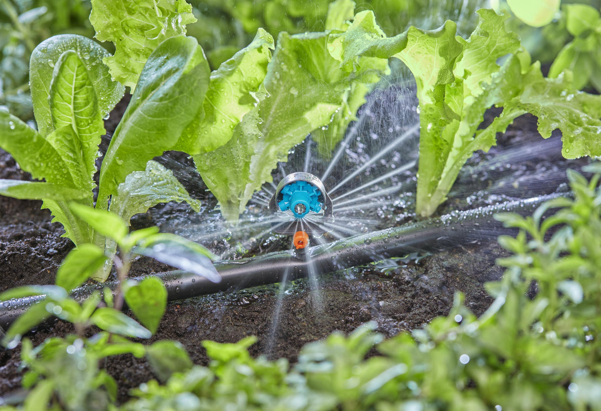 Micro-Drip-System 6-Flächen-Sprühdüse