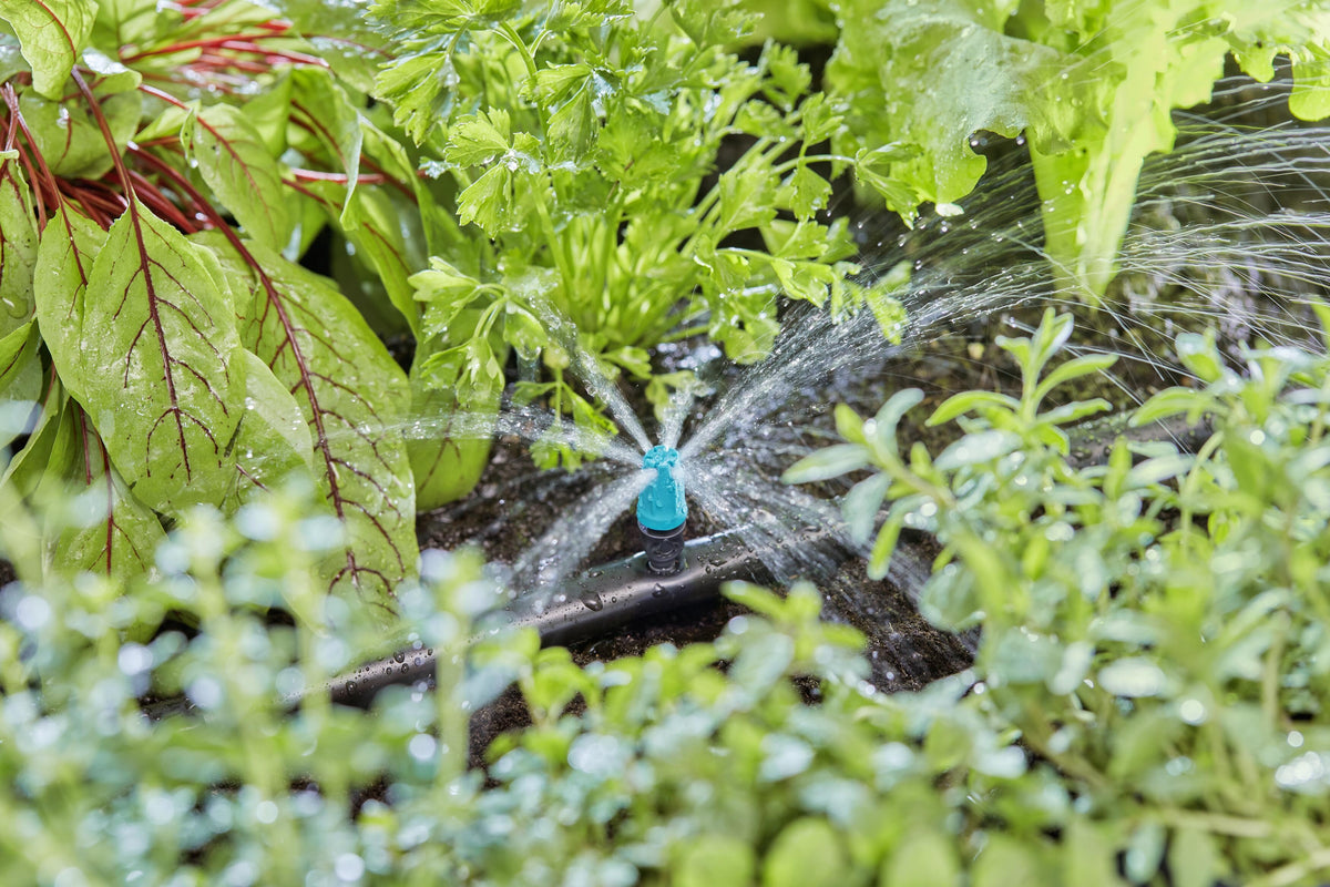 Micro-Drip-System Kleinflächendüse