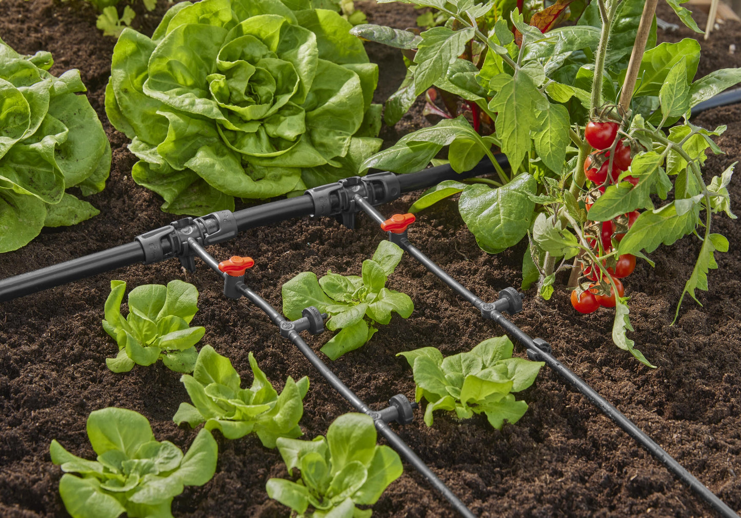 Micro-Drip-System Reihen- tropfer druckregulierend