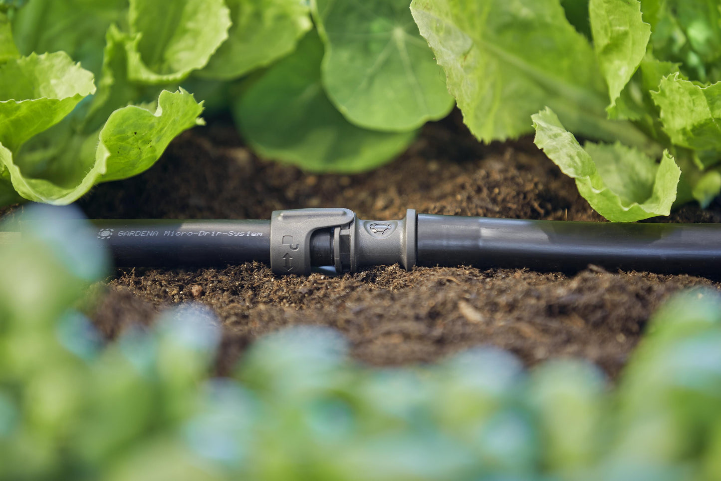 Micro-Drip-System Adapter für Wettbewerb/Tropfrohr