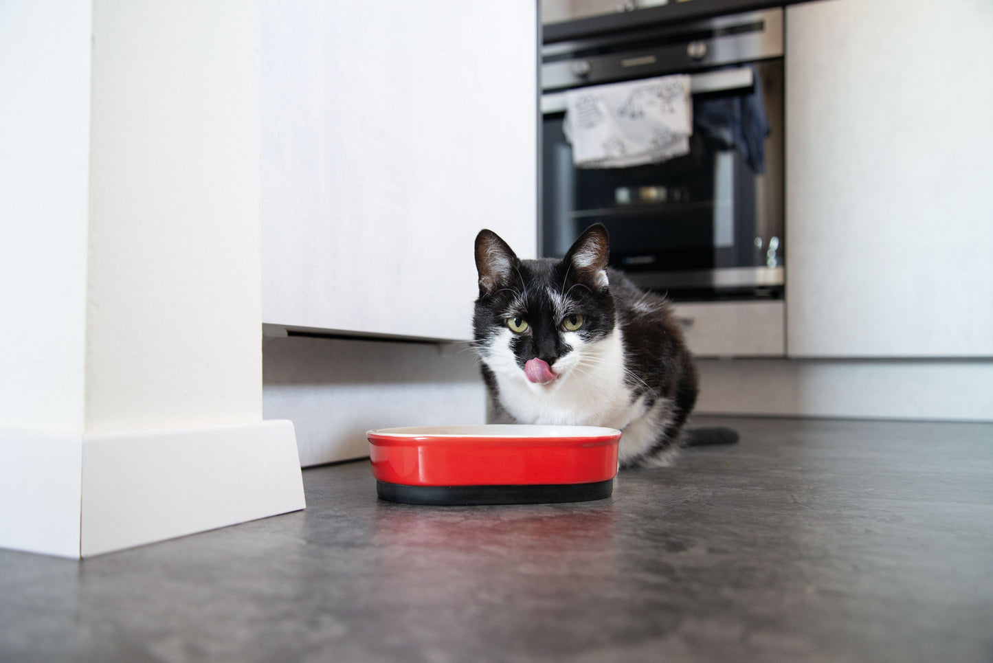 Cat bowl anti-slip red