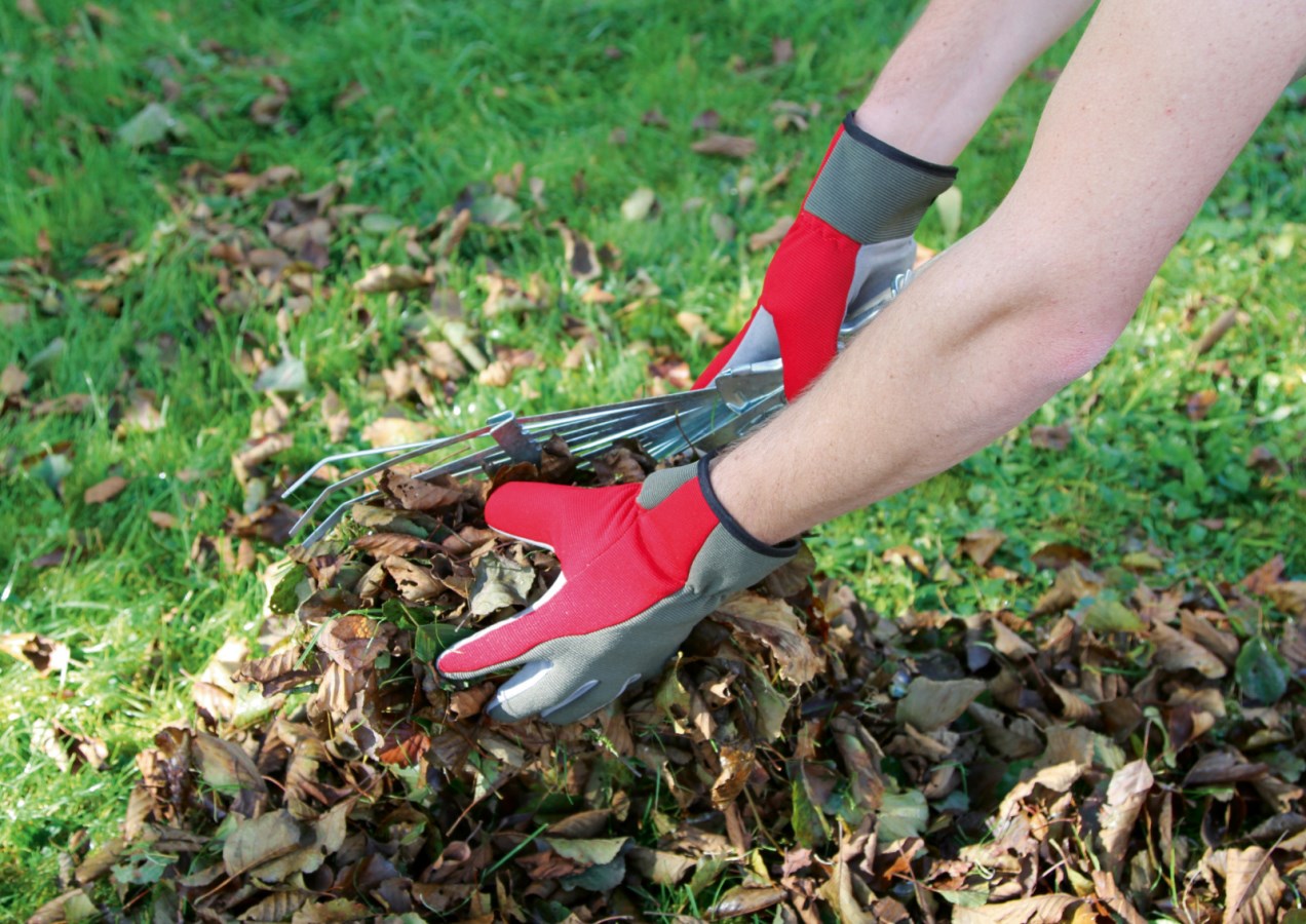 Kerbl Handschuh "Aventex" | Gr.8 (M)