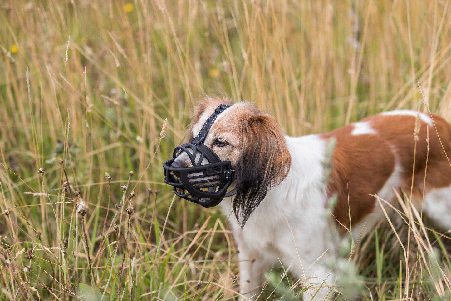 Trixie "Muzzle Flex" Maulkorb Gr. M | schwarz