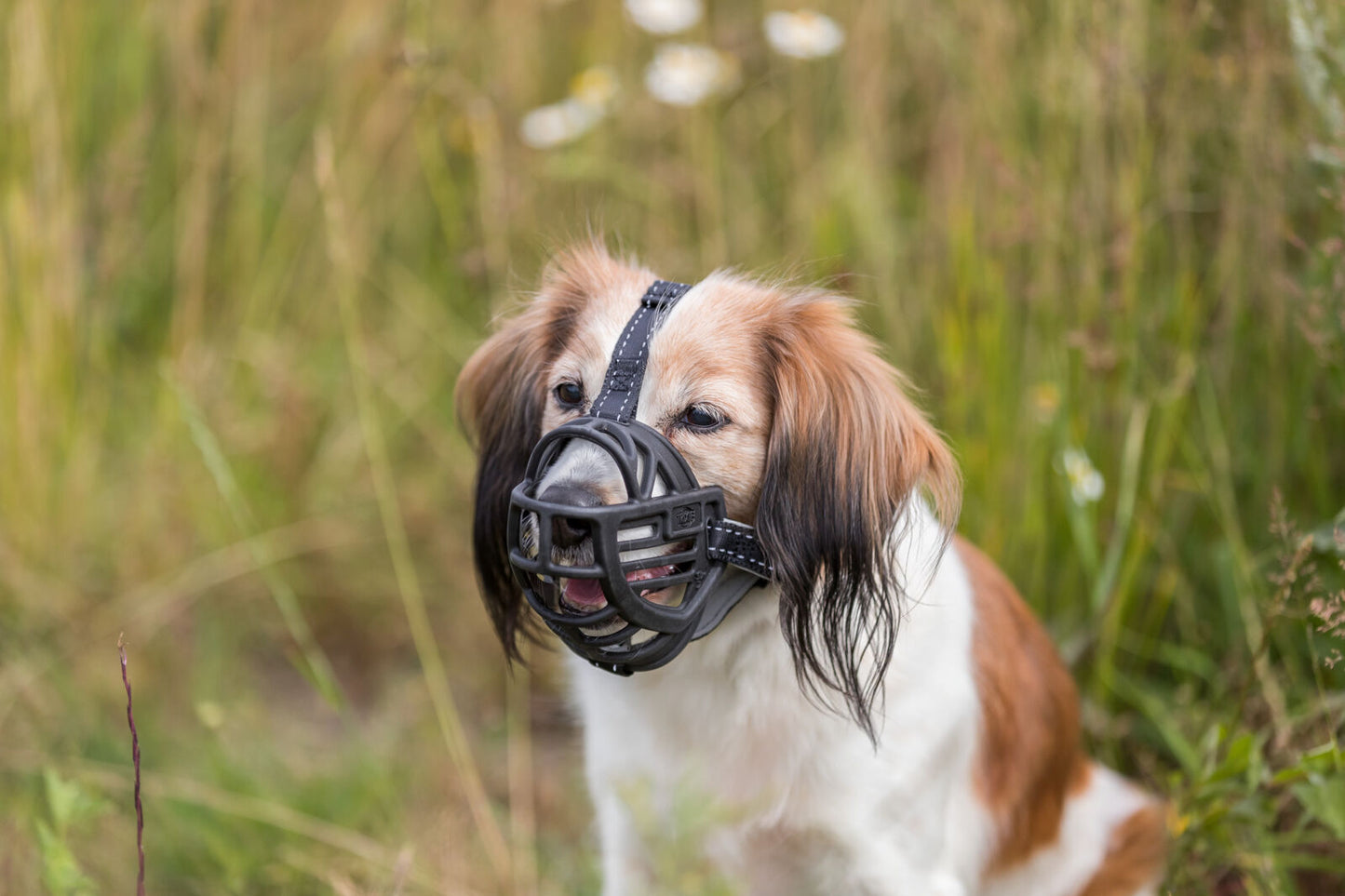 Trixie "Muzzle Flex" Maulkorb Gr. M | schwarz