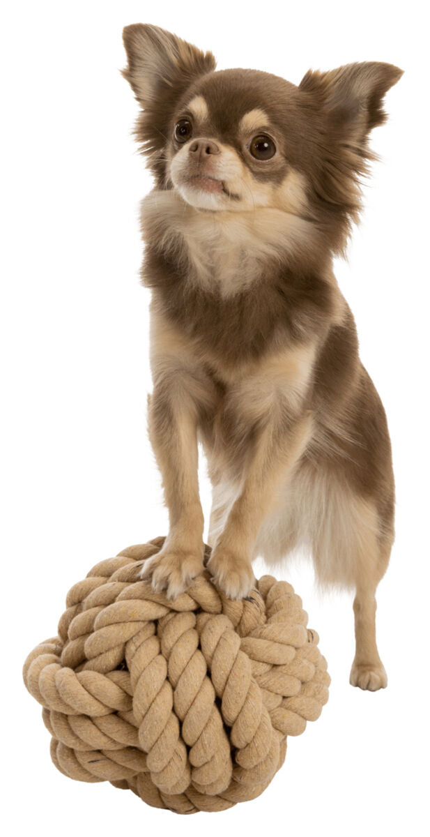 Trixie Hundespielzeug "Knoten-Ball" ø13cm