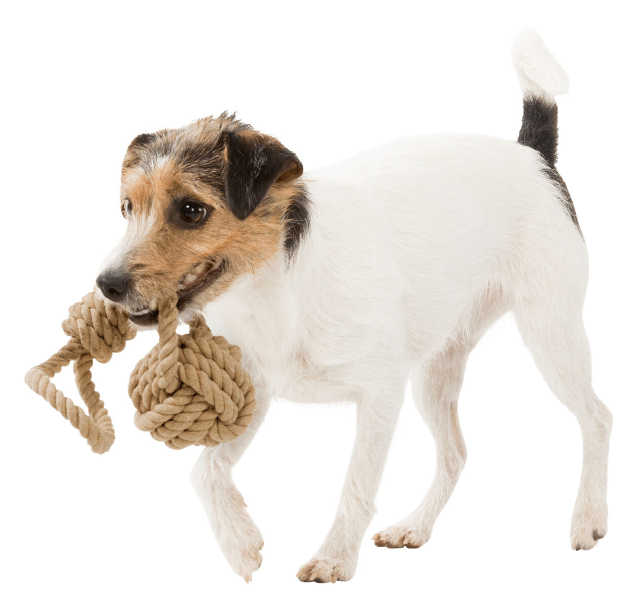 Trixie Hundespielzeug "Knoten am Tau" 20cm, ø7cm