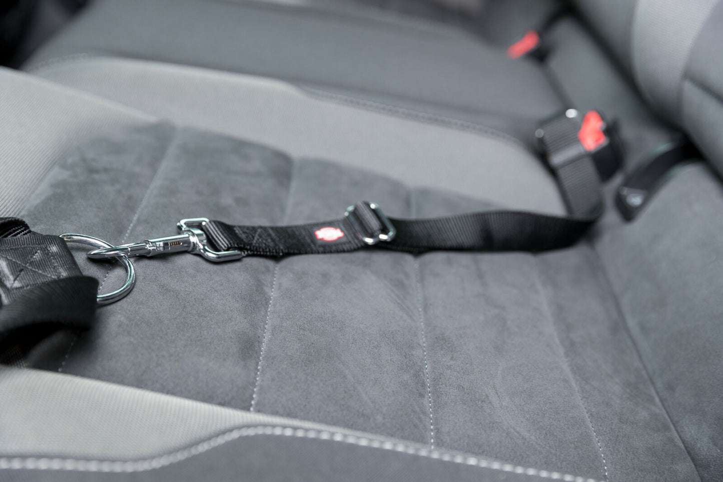 Trixie Anschnallgurt S-M (45-70cm) 25mm | schwarz