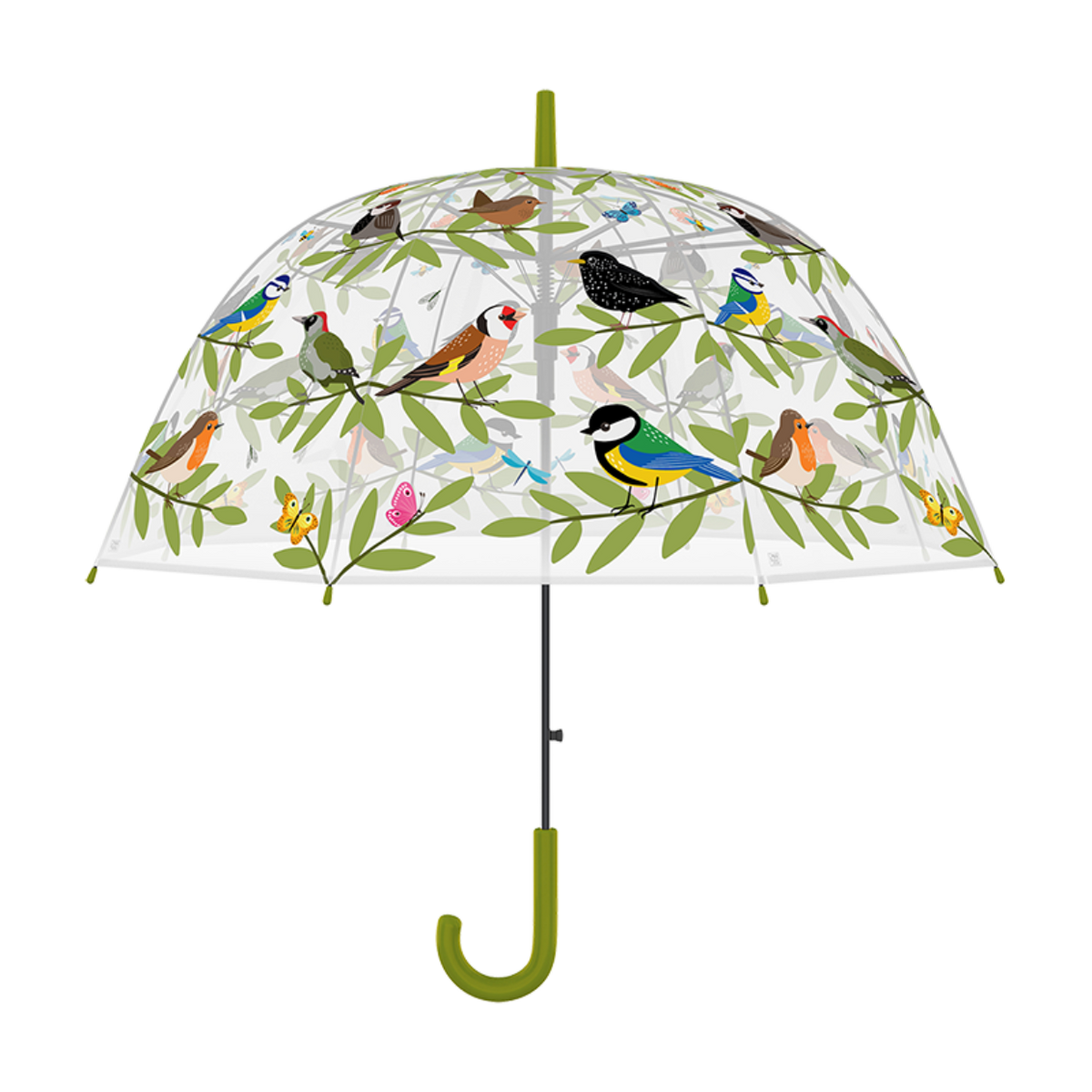 Regenschirm transparent mit Vogelmotiv