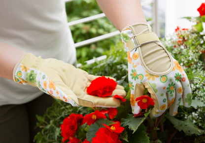 Kerbl Gartenhandschuh "Sunny" | Gr.8 (M)