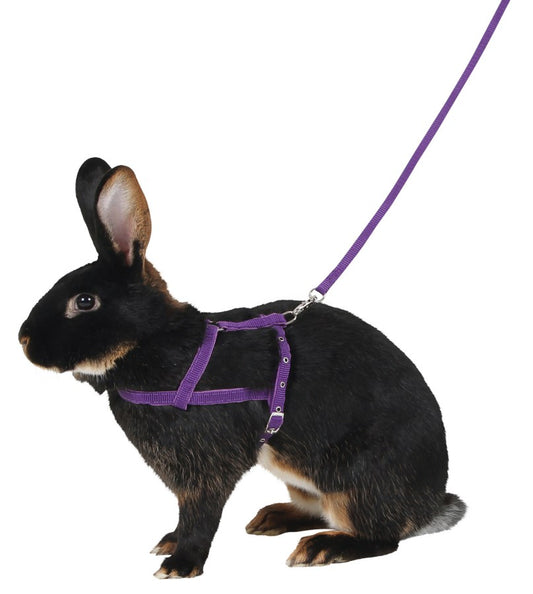 Kerbl Schultergeschirr Agility | 2m [Gr. M] mit Leine