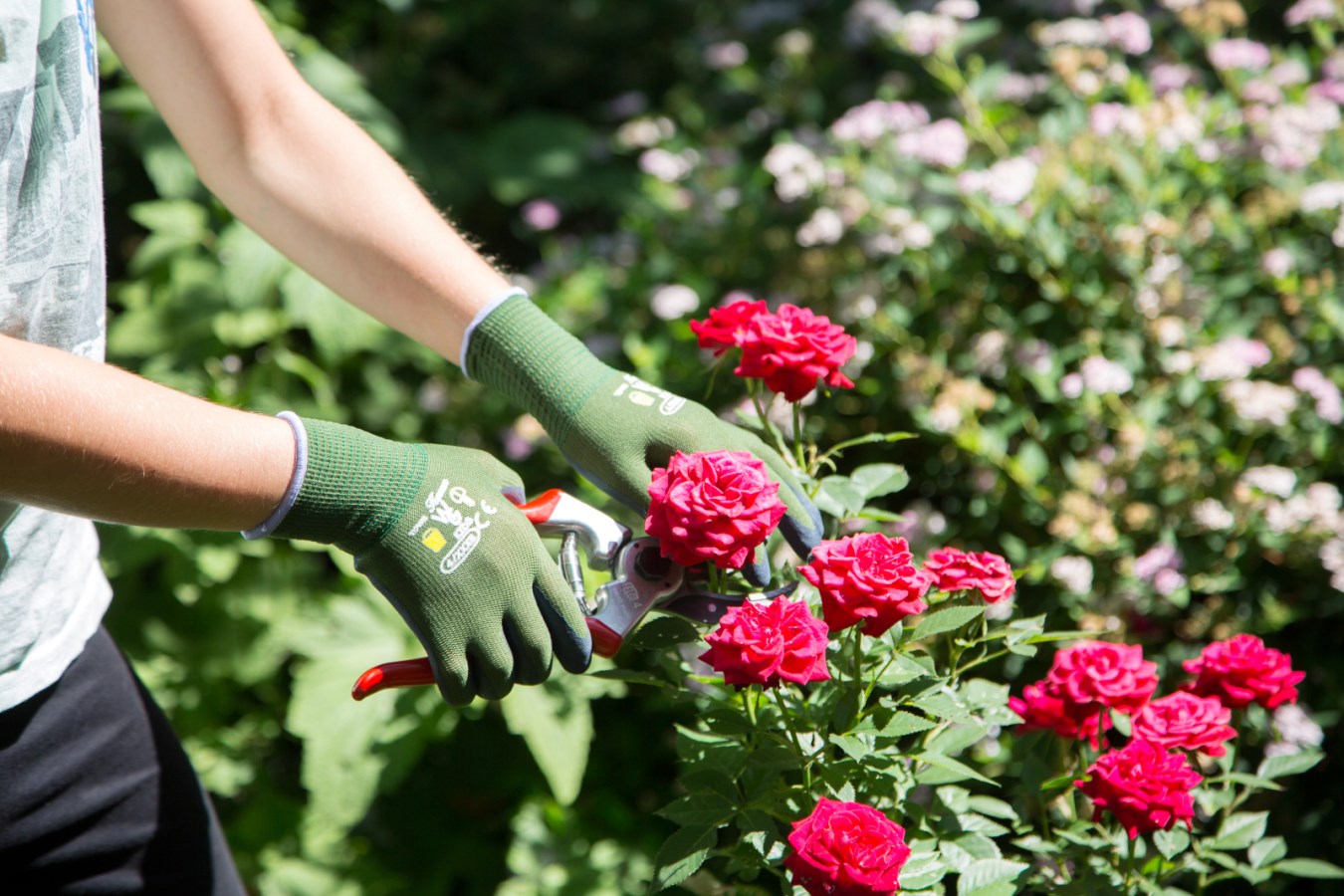 Kerbl Kinderhandschuh Kids | lemongelb [alter 4 - 6 Jahre]