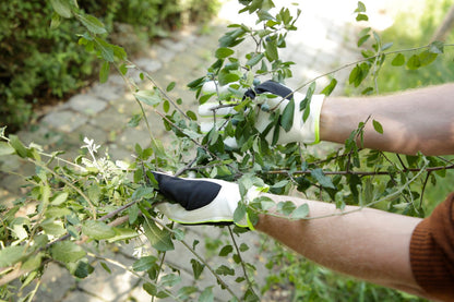 Kerbl Handschuh "Pan" | Gr. 9 [L]