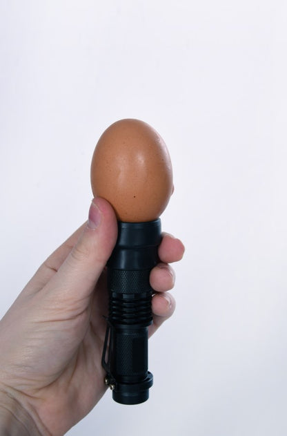 Kerbl LED-Schierlampe | inkl. Batterien