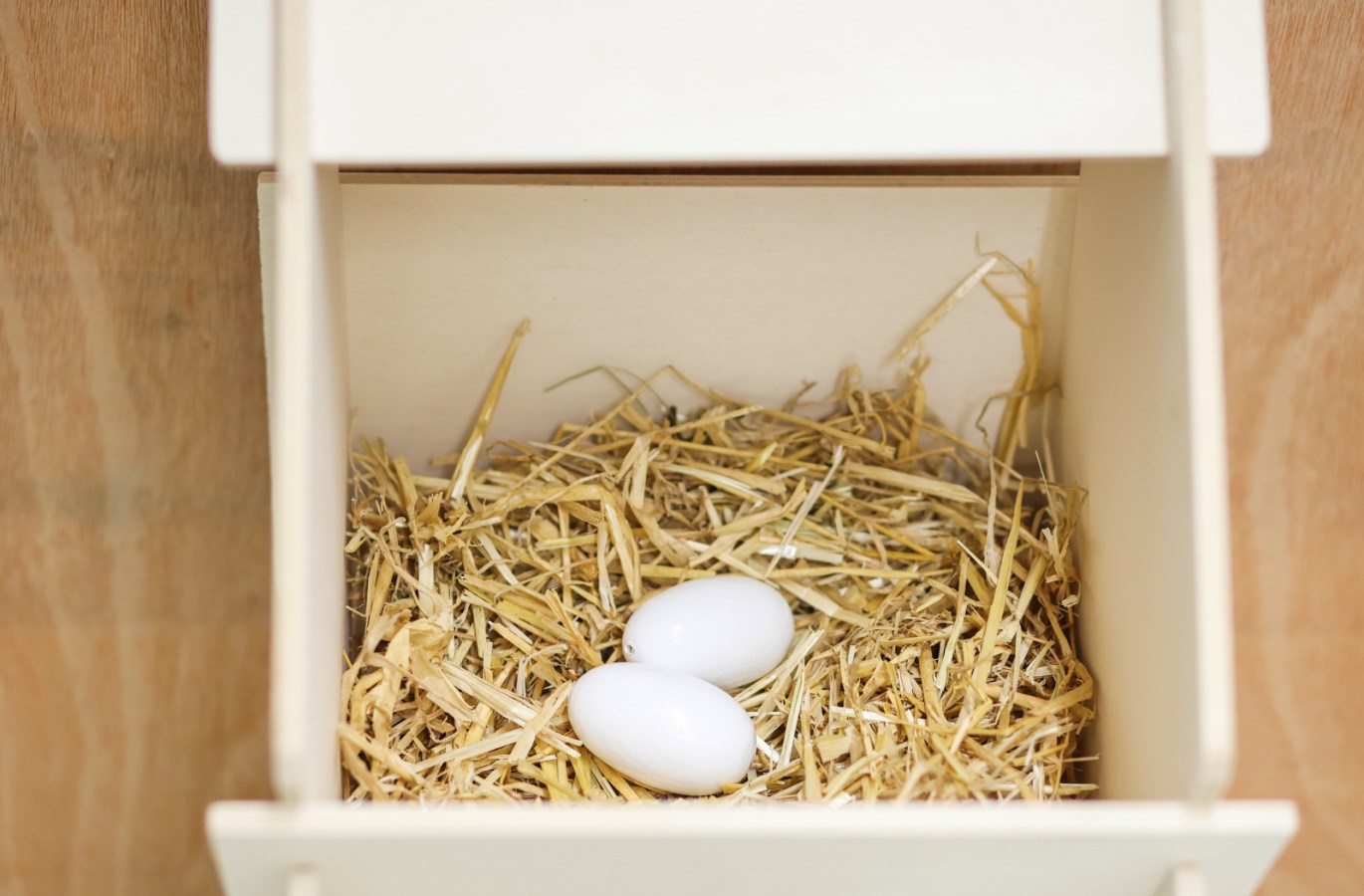 Kerbl Nesteier aus Ton für Hühner | 2 Stück