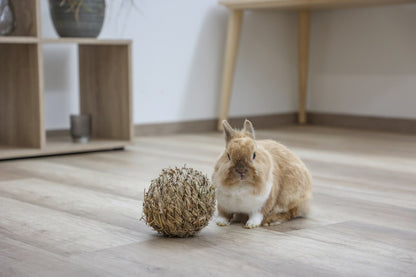 Kerbl Grasball  | ø 13 cm