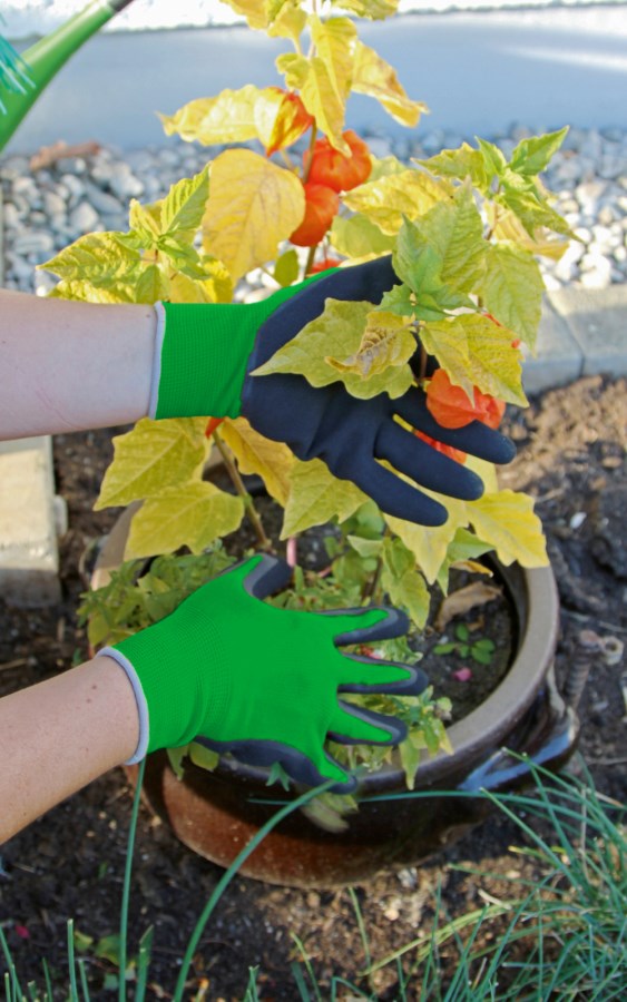 Kerbl Feinstrickhandschuh "SmoothGrip" | Gr. 10 [XL]